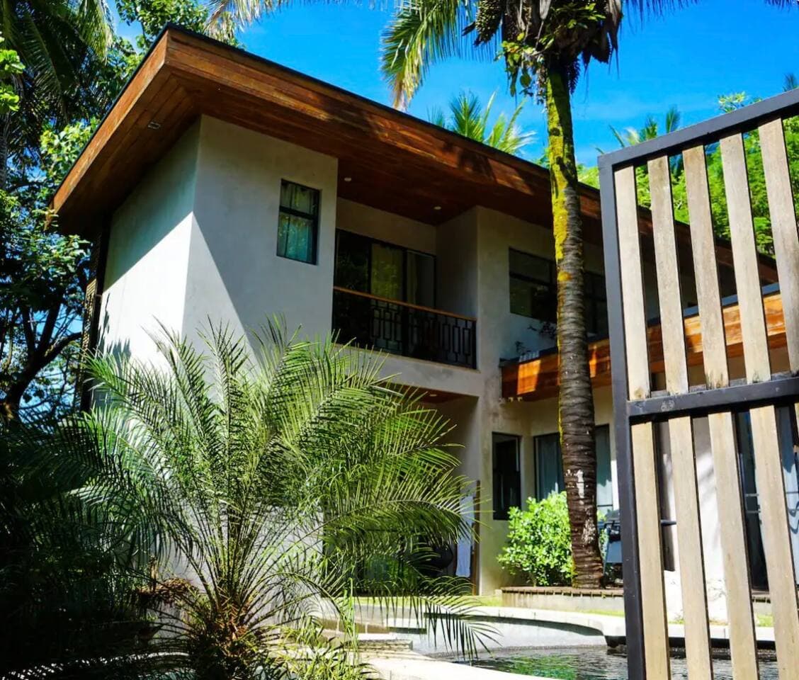 Casa Palmera photo 5