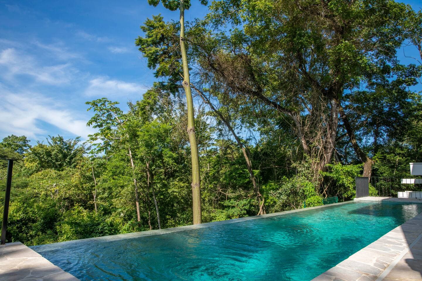 Pool & terrace